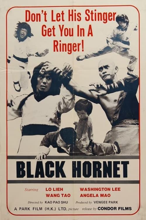 Black Hornet